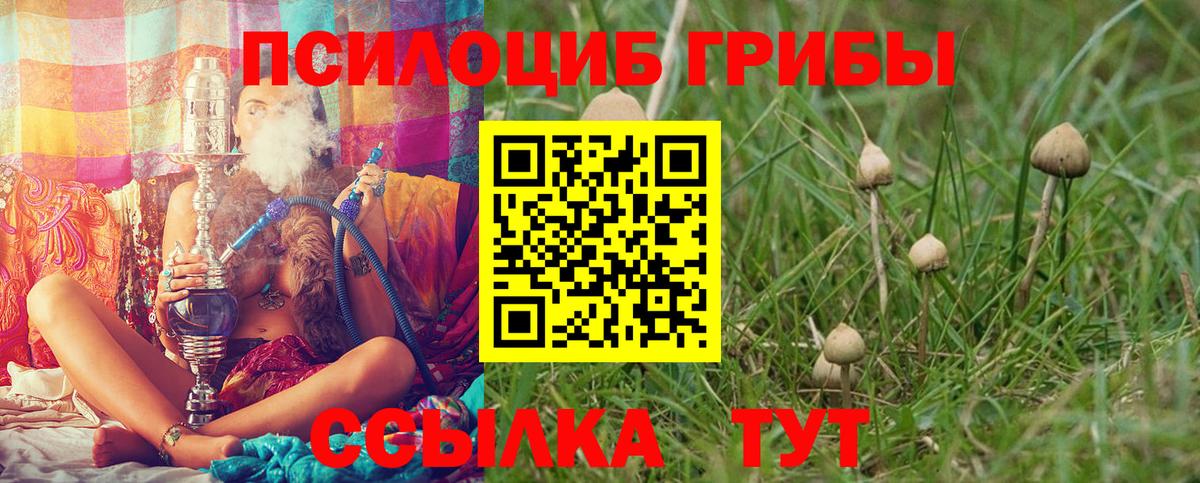 Галлюциногенные грибы GOLDEN TEACHER Острогожск
