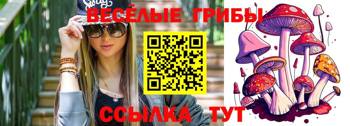 Псилоцибиновые грибы мицелий  Вход с VPN  Острогожск 
